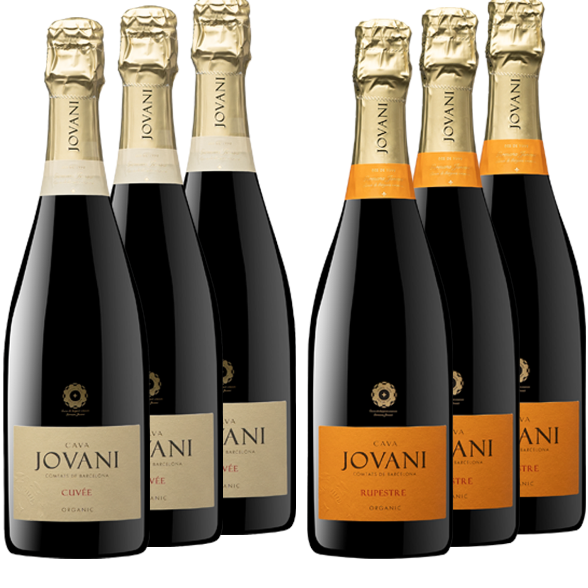 PACK JOVANI GUARDA SUPERIOR CAIXA